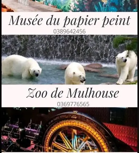 Appartement Appart Cosy 8 Pers Balcon Parking Gratuit 3 Ch *