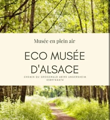 Appart Cosy 8 Pers Balcon Parking Gratuit 3 Ch Appartement *